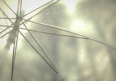 巴黎奥运会女排，激情与荣耀的赛场