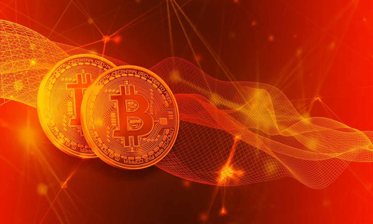 体育馆英语大揭秘，解锁国际交流的钥匙